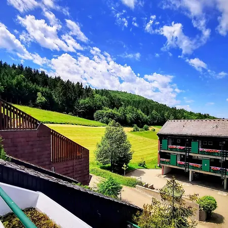 Appartamento Schwarzwald Loft Mit Schwimmbad Und Herrlicher Aussicht By Interhome *