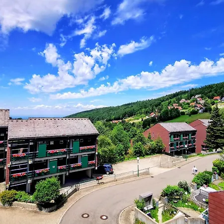 Appartamento Schwarzwald Loft Mit Schwimmbad Und Herrlicher Aussicht By Interhome