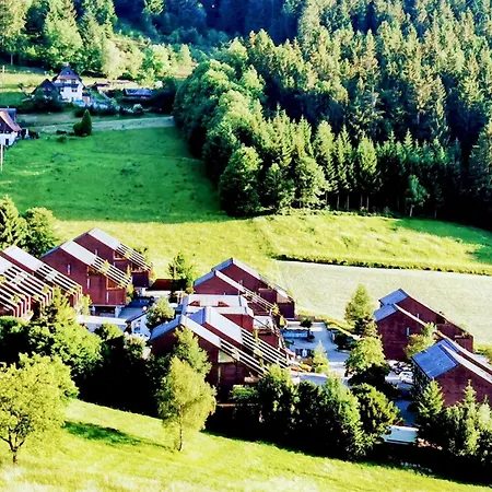 Schwarzwald Loft Mit Schwimmbad Und Herrlicher Aussicht By Interhome Appartamento Sasbachwalden