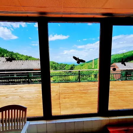 Schwarzwald Loft Mit Schwimmbad Und Herrlicher Aussicht By Interhome Sasbachwalden